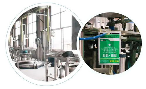 智能驅(qū)動，水務革新 重慶樹榮長壽區(qū)無人化新工廠正式投產(chǎn)